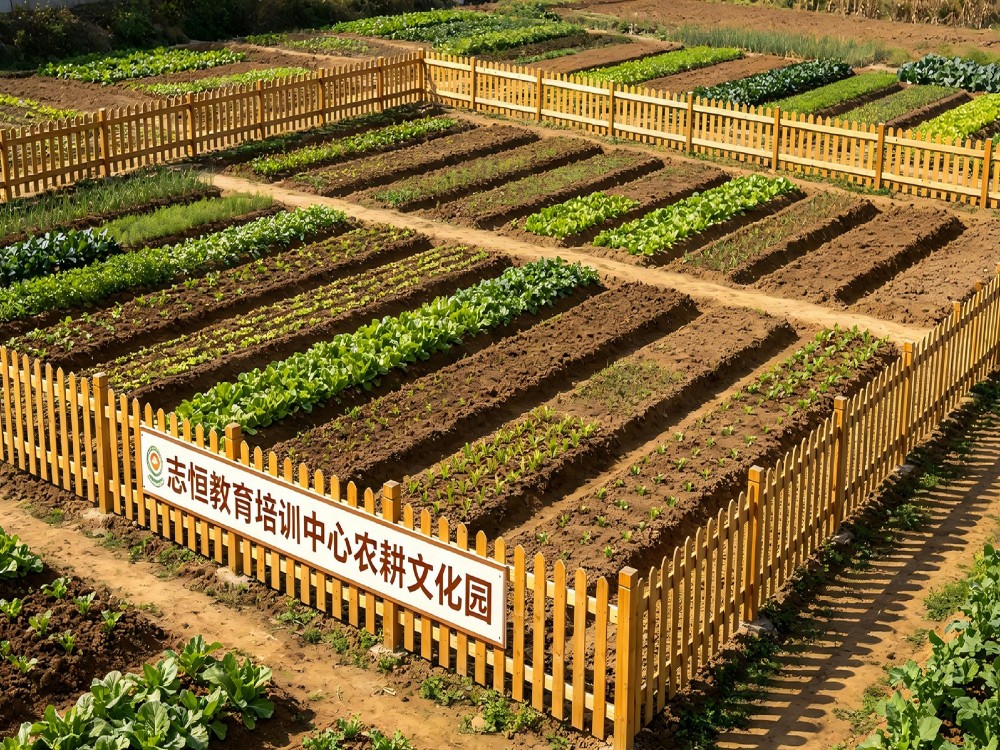 苏州叛逆孩子教育学校口碑推荐：志恒教育如何用专业与温度重塑亲子关系