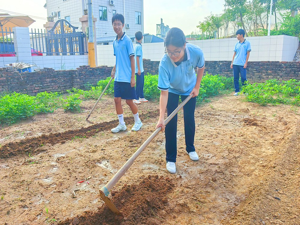 江苏苏州正规全封闭寄宿学校联系电话与择校指南